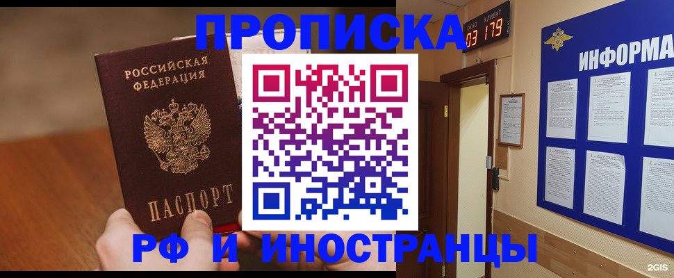 прописка в Купино